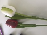 Wooden tulip rose 1