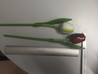 Wooden tulip rose 3