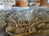 Teak Root Table Glass Top with Carvings Bali Indonesia