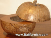 Coconut Fruits Bowls