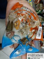 Resin Animal Ashtrays Bali Indonesia