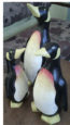 Painted Wood Penguins Bali Indonesia