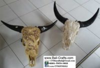 bhc-9a-carved-cow-skull-bone-bull-heads-from-bali-indonesia