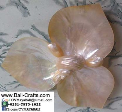 bcwjy1-8-sea-shell-bowls-bali-indonesia