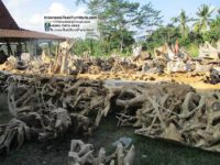 Teak Root Furniture Indonesia